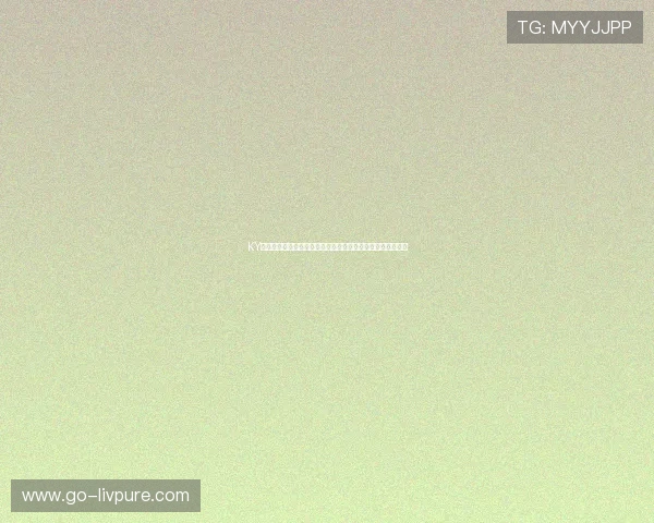 KY体育投注提供全面的赛事直播和详细数据分析，助你精准投注